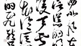 龍只書法日常 | 看似或者，其實(shí)早就死了