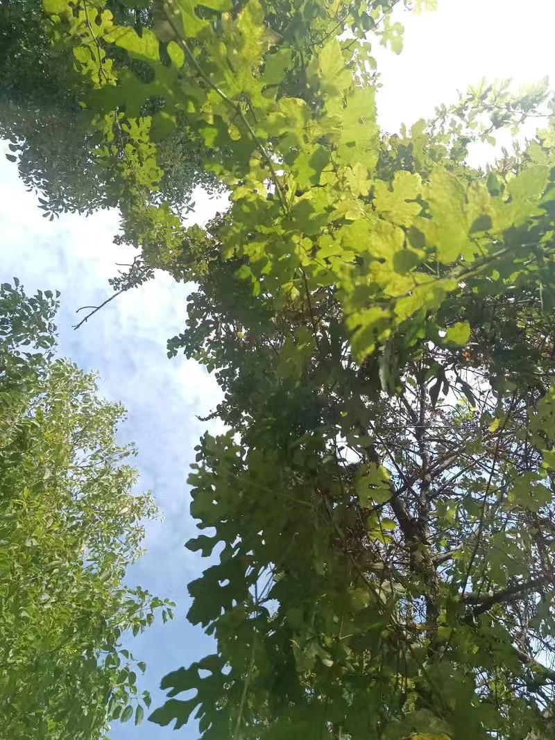 一日一感叹，天天不一样。
生活中最受伤的莫非是两种人，一种高高在上，权势炙热，胡作非为，自己折腾自己，锒铛入狱 ，变为阶下囚，是权欲贪欲性欲物欲太盛，害了自己 ，毒害了社会；另一种人是在最底层，身不由己，任人摆布，被别人折腾心力交瘁，在暴风雨中摸打滚爬，吃亏，受苦，受伤，思索 磨练的坚强。形成了善良，真诚，友好，可爱，可敬的品质，他们是社会中的中建设者，奉献者 中坚力量。