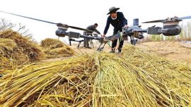 讓綠色成為高質(zhì)量發(fā)展的鮮明底色 ——“十四五”時(shí)期甘肅林草事業(yè)發(fā)展紀(jì)實(shí)