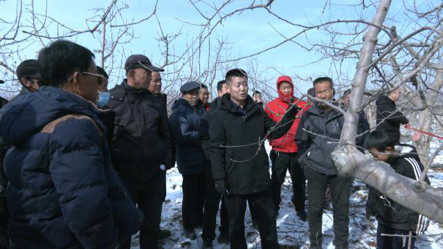 合水:市县联动集中培训 赋能丰产促增收485