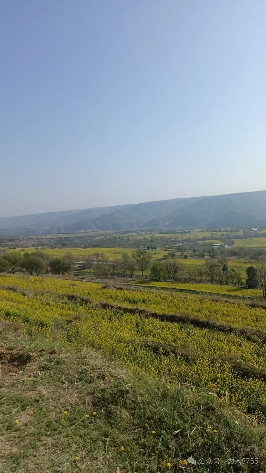 清贫乐.童年

涝池嬉戏不识水，
解马放逃看乐趣。
以邻为家不知归，
煤油灯下吸旱烟。
九龙河畔摘大梨，
母唤儿归传十里。
缺吃少穿平常事 ，
岁月峥嵘人心舒。