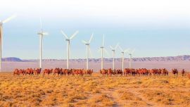 五載春秋 綠染隴原 ——甘肅“十四五”生態(tài)文明建設(shè)實(shí)踐之路