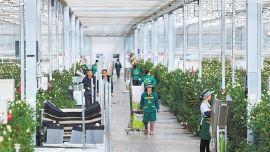 繪就農(nóng)業(yè)強農(nóng)村美農(nóng)民富美好畫卷