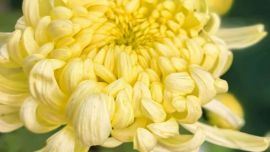 魏建春：乡镇笑话和搞笑的事很多，以后我还会写的...