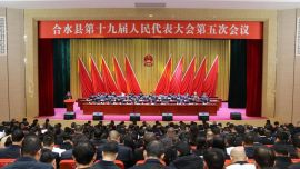 【聚焦兩會·代表心聲】：履職為民顯擔(dān)當(dāng) 共繪縣域新圖景