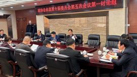 張東在政協(xié)合水縣第十屆委員會第五次會議分組討論時強調(diào) 把握發(fā)展定位 聚焦使命擔(dān)當(dāng) 提升履職能力水平