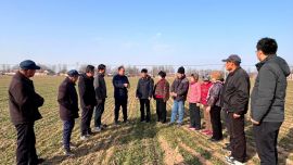 寧縣春管服務到田 精準施策護航夏糧豐收