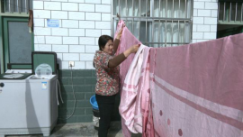 【新春走基層 幸?？春纤亢纤罕狈叫∧陹邏m忙 除陳布新迎馬年