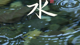 雨水 | 潤(rùn)物無(wú)聲春意濃