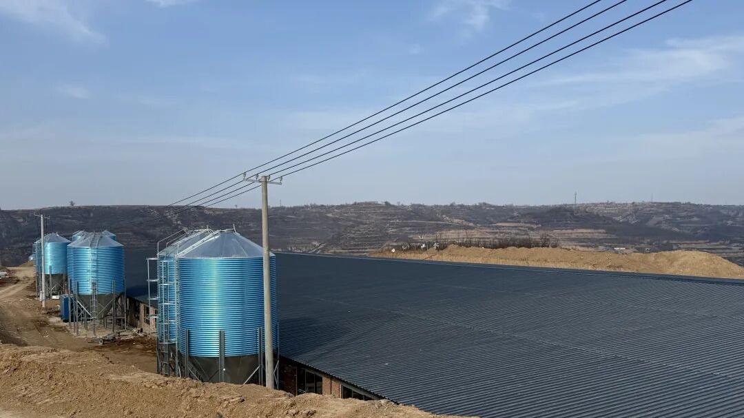 afbd768a19014060a19a31b4d1ef114b