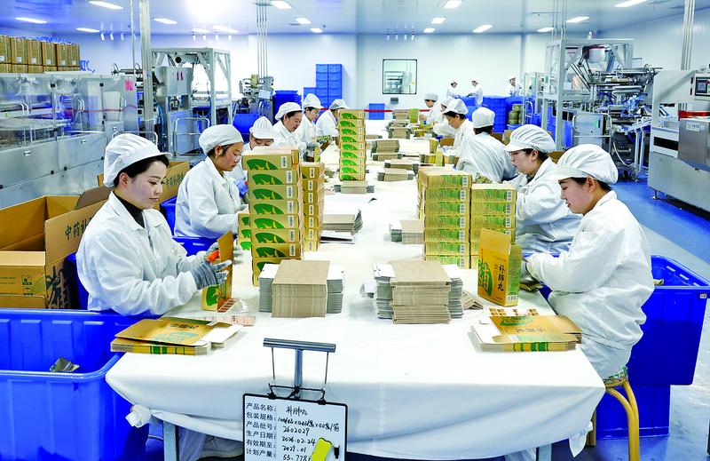 日前，在丽彩甘肃西峰制药有限公司新厂区，工人们将补肺丸装盒。 庆阳融媒记者 盘小美 摄