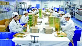 【沖刺開門紅】西峰區(qū)：醫(yī)藥企業(yè)以硬核實(shí)力拓市場增效益