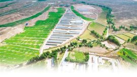 “生態(tài)包袱”變“綠色銀行” ——我省實(shí)施秸稈綜合利用工程發(fā)展綠色農(nóng)業(yè)