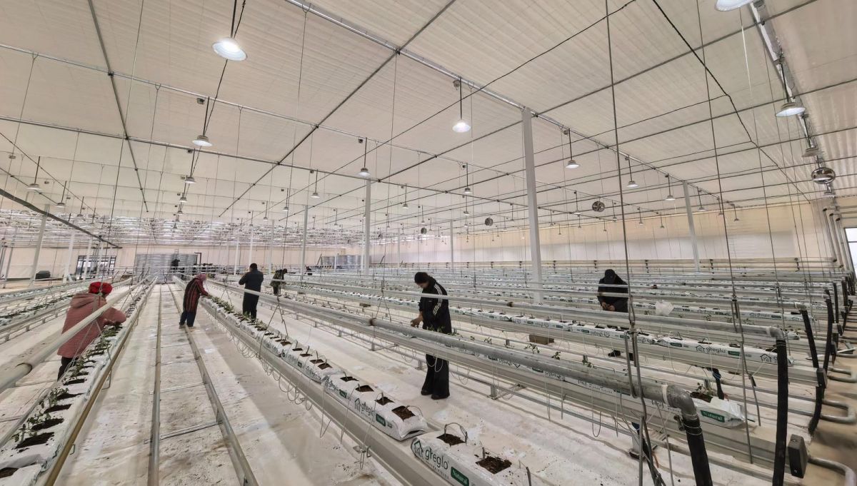 鎮(zhèn)原：重點項目全面復工復產(chǎn) 奮力奪取首季&ldquo;開門紅&rdquo;