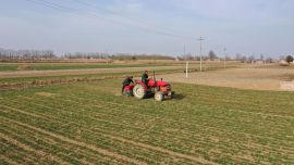 寧縣：抓實(shí)田間管理 筑牢糧食安全