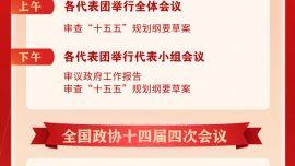 3月6日：審議和討論政府工作報告 審查和討論“十五五”規(guī)劃綱要草案
