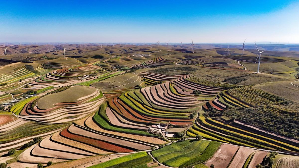 兴农富民固根本&mdash;&mdash;环县农业产业高质量发展助推乡村全面振兴纪实