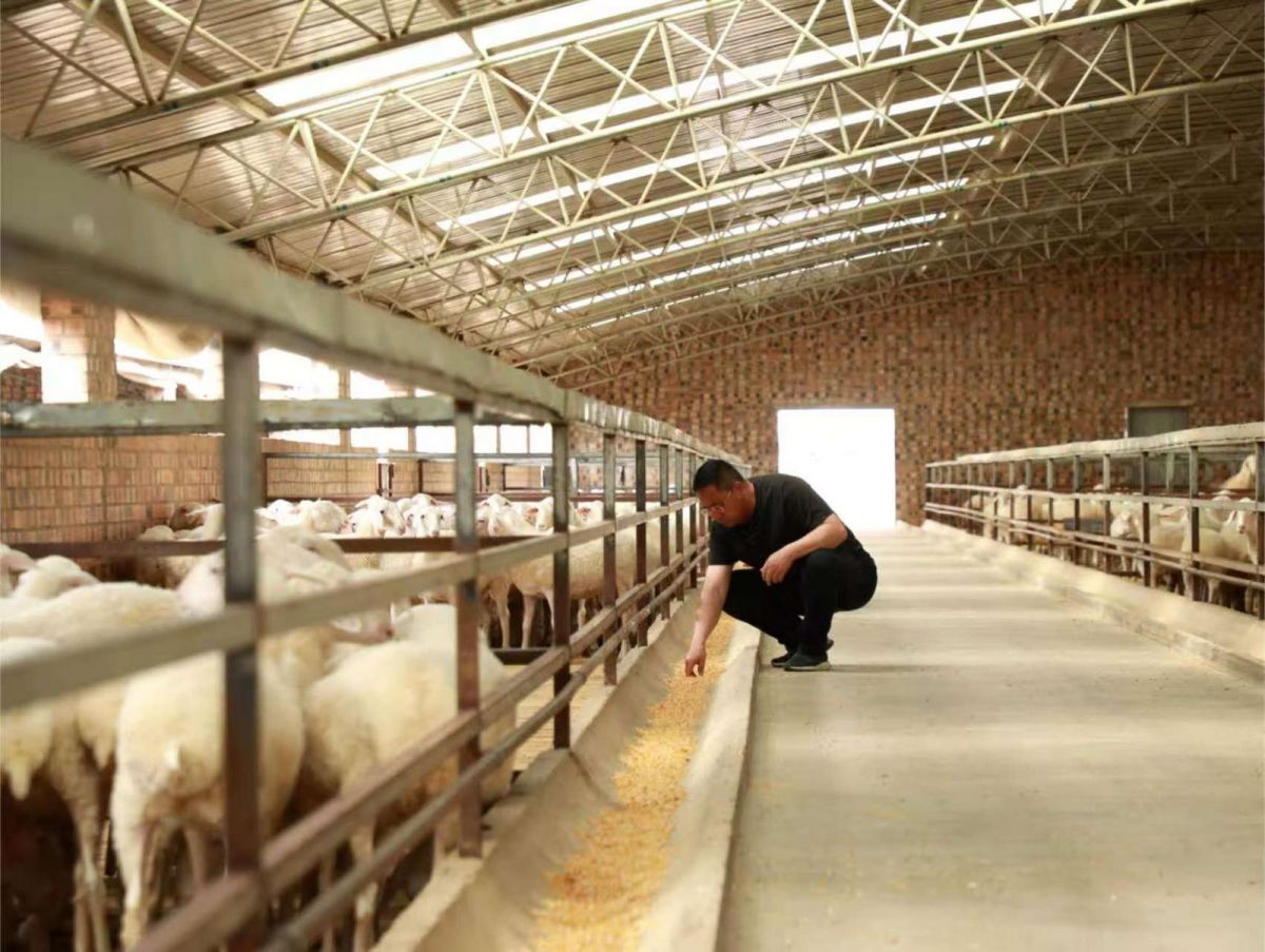 兴农富民固根本&mdash;&mdash;环县农业产业高质量发展助推乡村全面振兴纪实