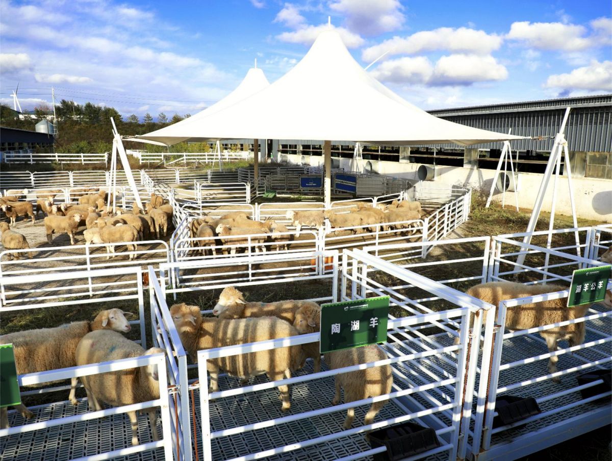 兴农富民固根本&mdash;&mdash;环县农业产业高质量发展助推乡村全面振兴纪实