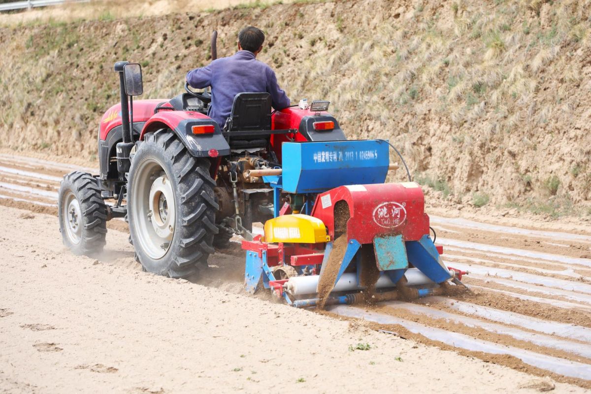 兴农富民固根本&mdash;&mdash;环县农业产业高质量发展助推乡村全面振兴纪实