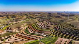 興農(nóng)富民固根本——環(huán)縣農(nóng)業(yè)產(chǎn)業(yè)高質(zhì)量發(fā)展助推鄉(xiāng)村全面振興紀(jì)實(shí)