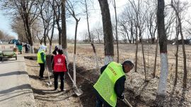 太昌鎮(zhèn)：人居環(huán)境整治按下“快進(jìn)鍵” 鎮(zhèn)村面貌煥新顏