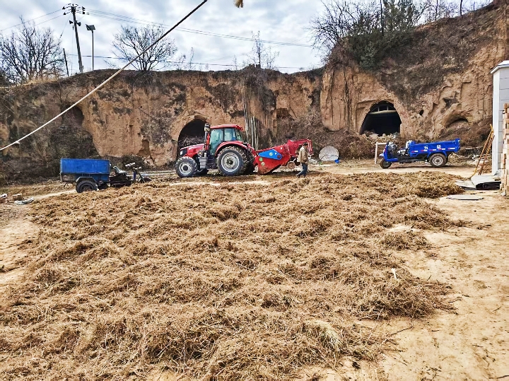 庆城:店户村王家平播种20亩黑柴胡喜获丰收