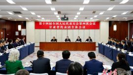 甘肅代表團舉行全體會議 審議“兩高”工作報告 應勇到會聽取意見 胡昌升任振鶴參加審議