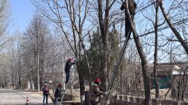 盤克鎮(zhèn)：重拳整治人居環(huán)境 全力打造和美鄉(xiāng)村新風(fēng)貌