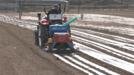 【春耕備耕忙 播種新希望】合水縣板橋鎮(zhèn): 搶抓農(nóng)時(shí)忙春耕 不負(fù)春光啟新程
