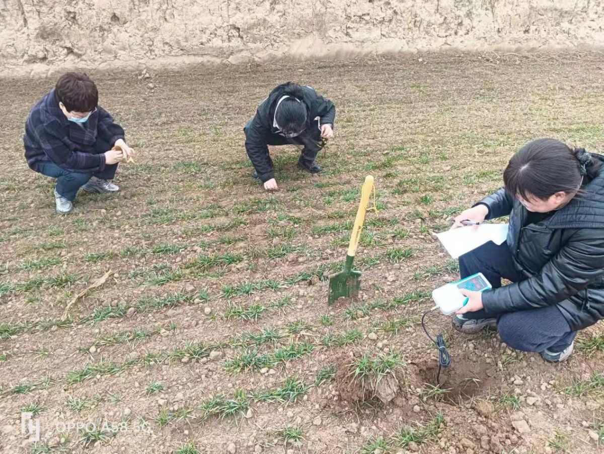 1d6824bab03242a6b995c36251b18b88