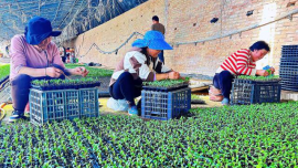 【春耕备耕忙 播种新希望】合水县固城镇：人勤春早农事忙 春耕管护掀热潮