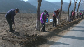 合水縣蒿咀鋪鄉(xiāng)：全面開展“三清三治一提升”行動 讓鄉(xiāng)村既有“顏值”更有“內(nèi)涵”