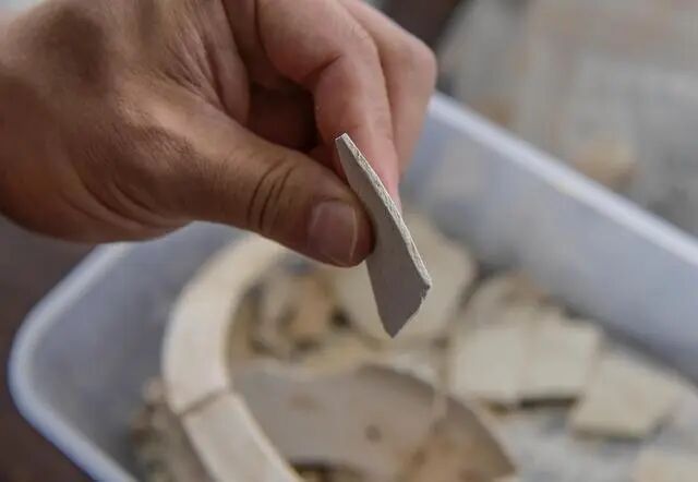 考古工作人員在展示南佐遺址內(nèi)出土的厚度為3-5毫米的白陶器殘片（2022年8月23日攝）。新華社記者 李賀 攝