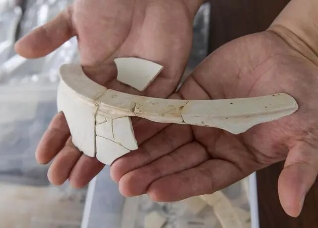 考古工作人員在展示南佐遺址內(nèi)出土的白陶器殘片（2022年8月23日攝）。新華社記者 李賀 攝