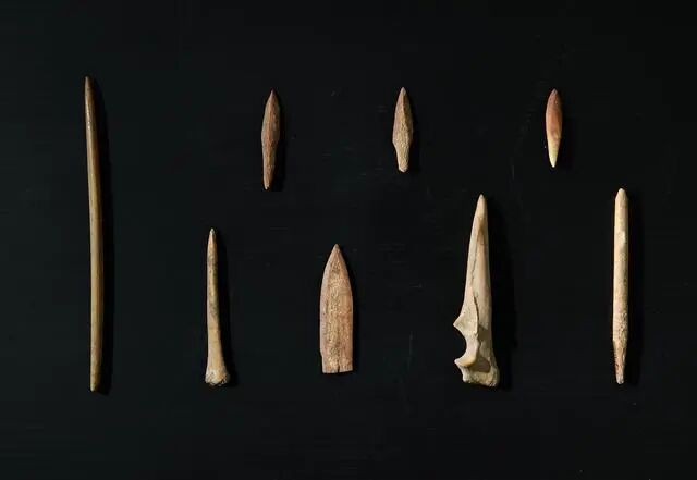 這是南佐遺址內(nèi)出土的部分骨器（2022年8月25日攝）。新華社記者 李賀 攝