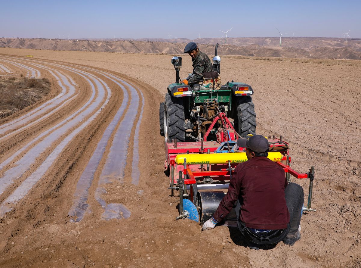 環(huán)縣頂凌覆膜工作見聞
