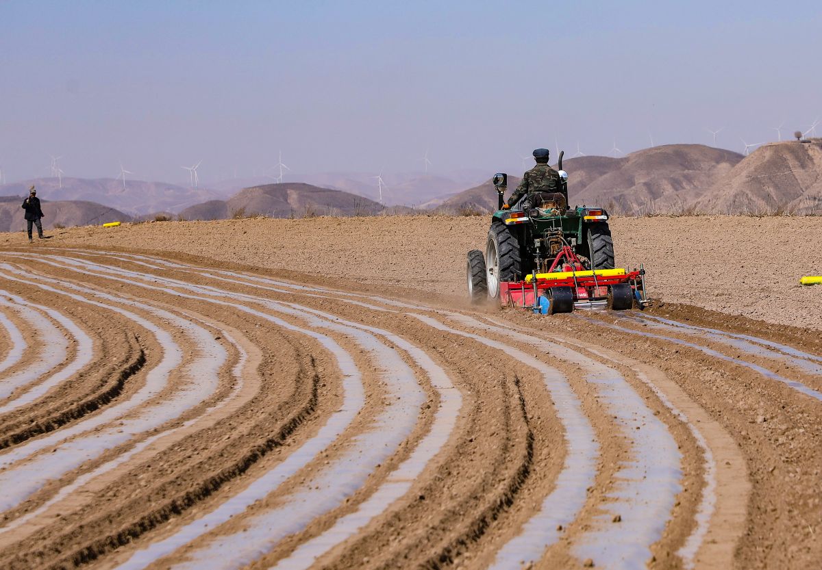 環(huán)縣頂凌覆膜工作見聞