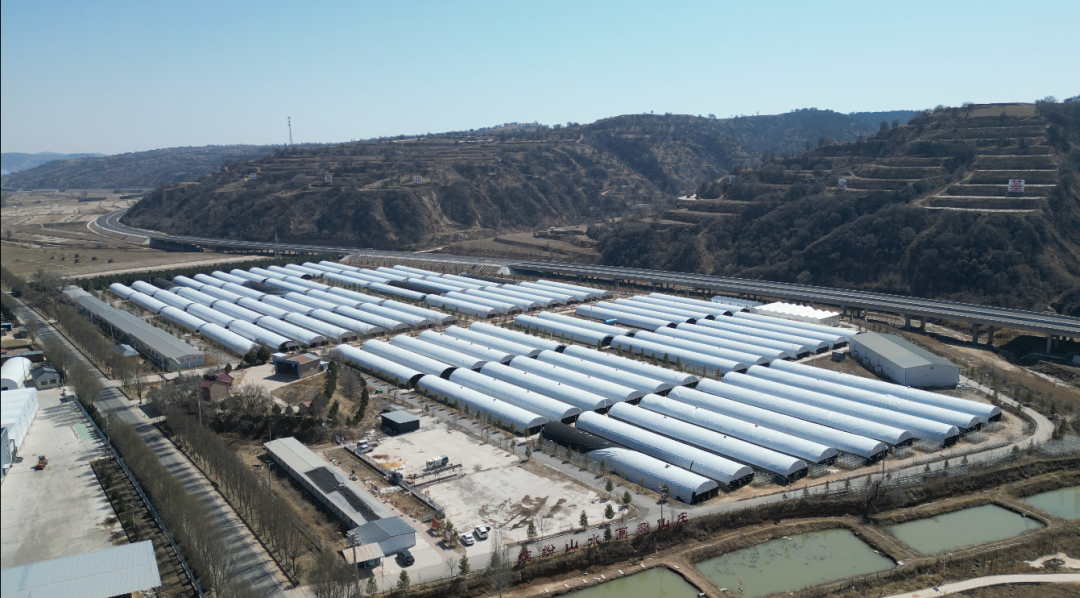 【新春开工 全力以&ldquo;复&rdquo;】华池：春风催复工 实干启新程