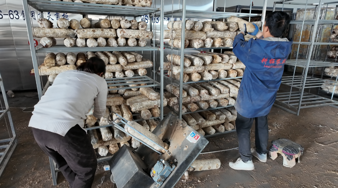 【新春开工 全力以&ldquo;复&rdquo;】华池：春风催复工 实干启新程