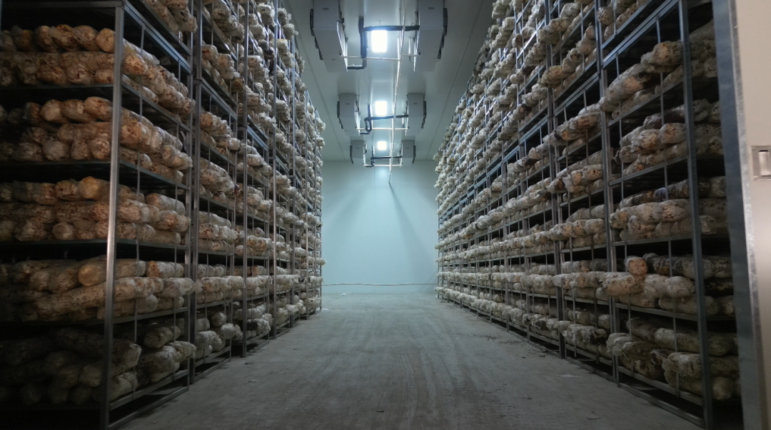 【新春开工 全力以&ldquo;复&rdquo;】华池：春风催复工 实干启新程