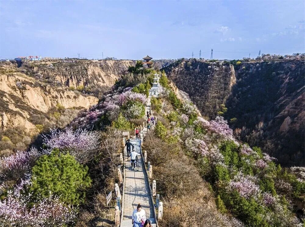 把庆阳的春天玩出 &ldquo;花&rdquo; 样