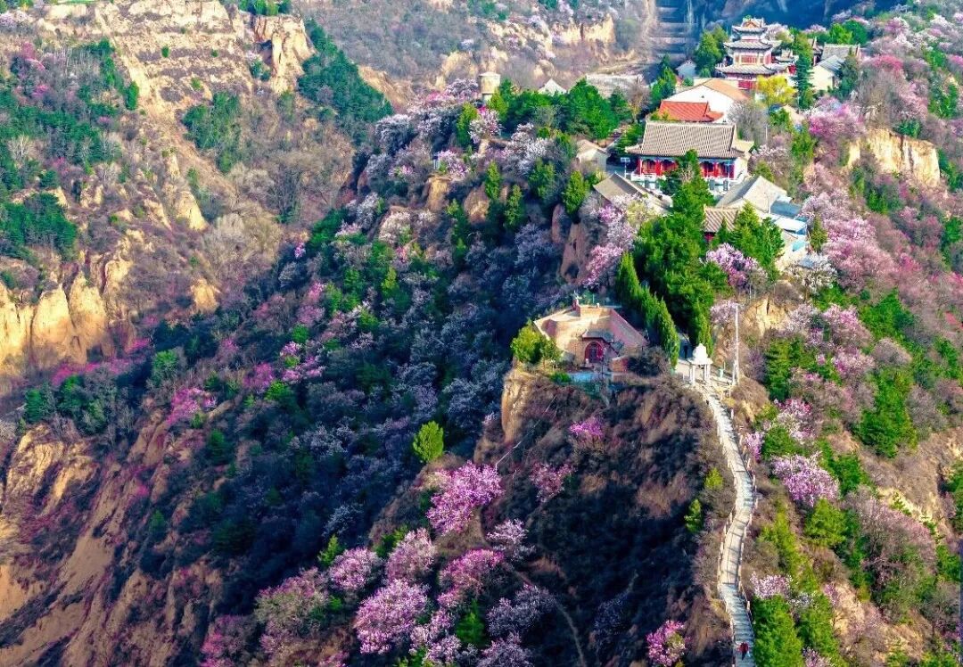 把庆阳的春天玩出 &ldquo;花&rdquo; 样