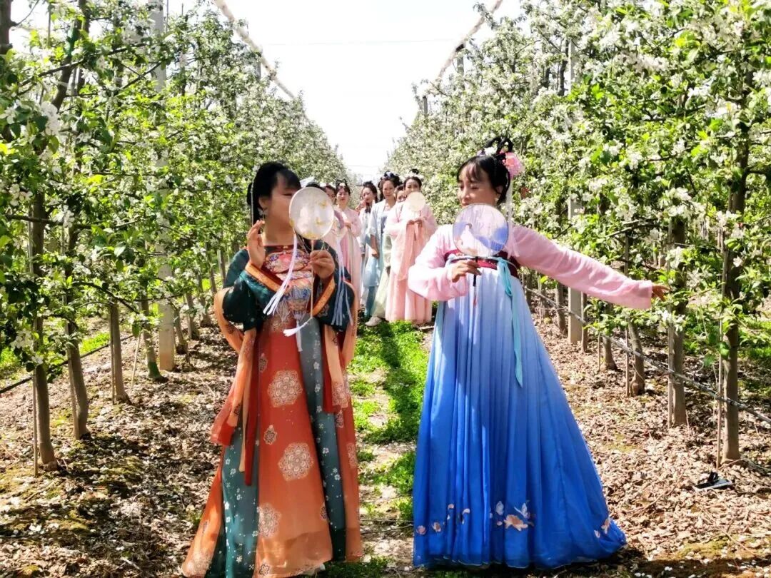 把庆阳的春天玩出 &ldquo;花&rdquo; 样