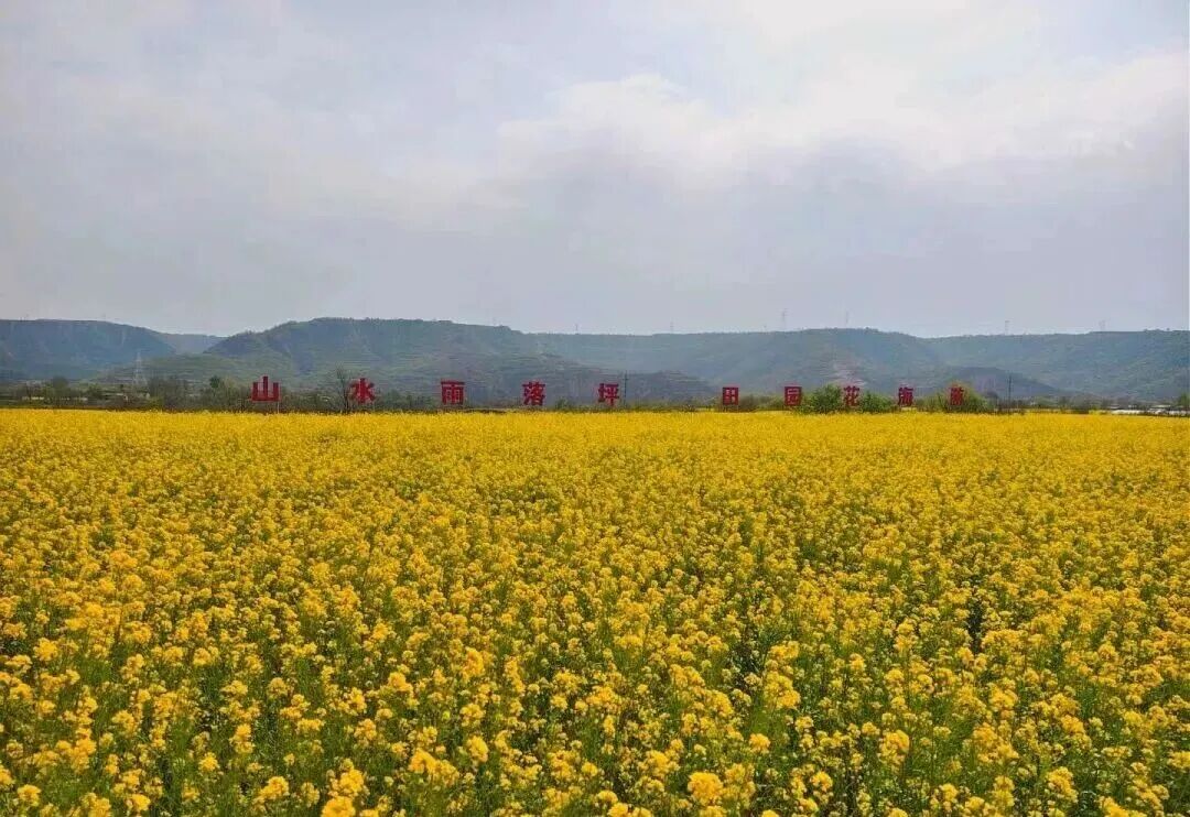把庆阳的春天玩出 &ldquo;花&rdquo; 样