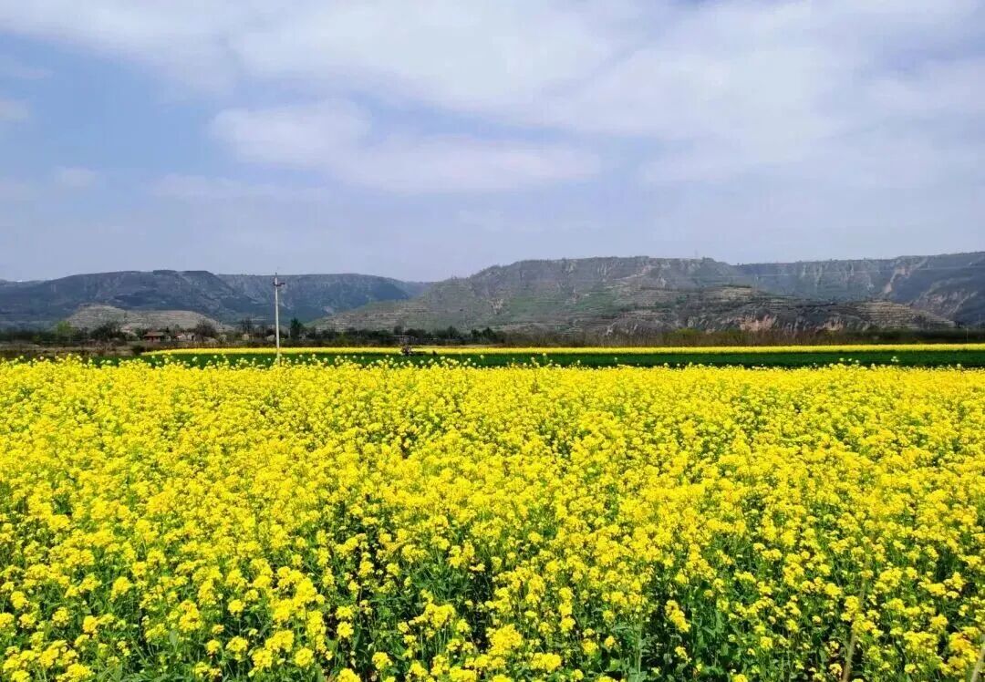 把庆阳的春天玩出 &ldquo;花&rdquo; 样