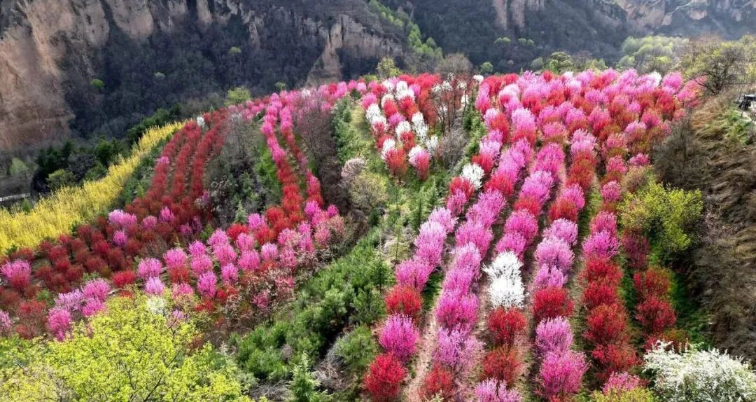 把庆阳的春天玩出 &ldquo;花&rdquo; 样