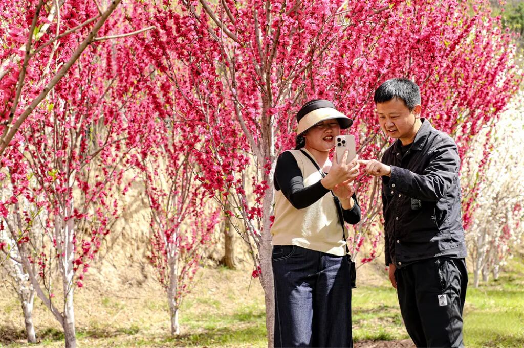 把庆阳的春天玩出 &ldquo;花&rdquo; 样