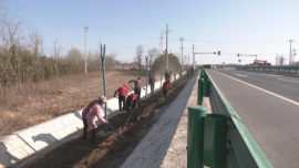 合水縣西華池鎮(zhèn)：全域推進“三清三治一提升” 行動 鎮(zhèn)村面貌煥新顏
