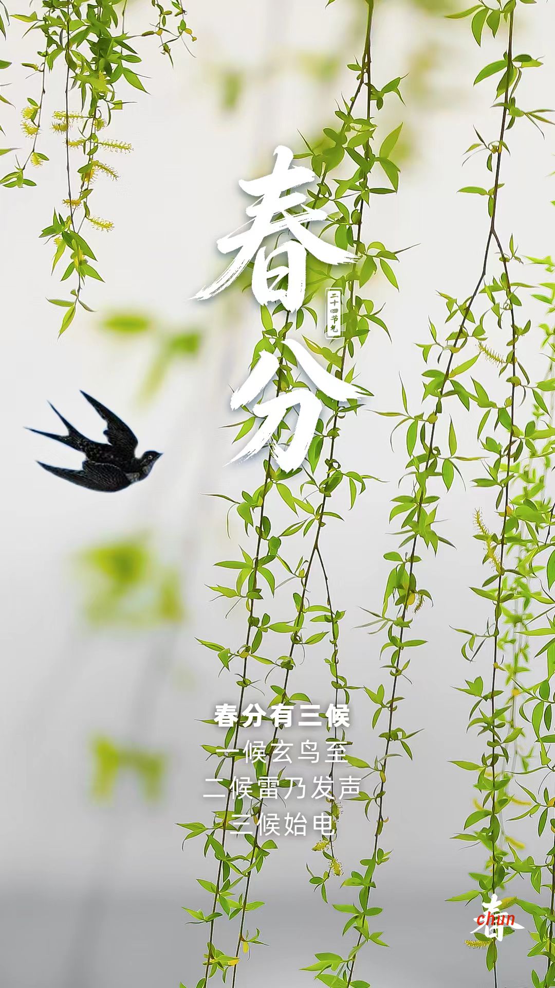 春风

春风得意大地绿，
阳光明媚暖风醉。
身临其中乐逍遥，
趁早思量仓廪实